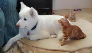 Fred, Ginny, and Doggie Friend