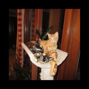 Fred, Ginny, Poppy, and Luna