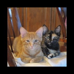 Ginny and Poppy