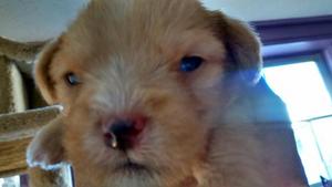 Mars opened his eyes! October 11, 2016