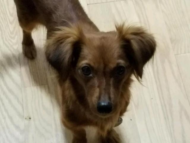 winnie