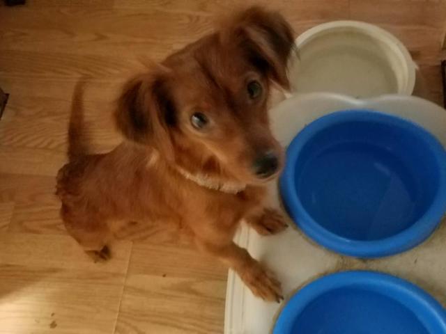 winnie