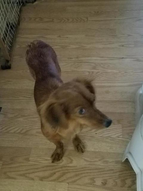 winnie