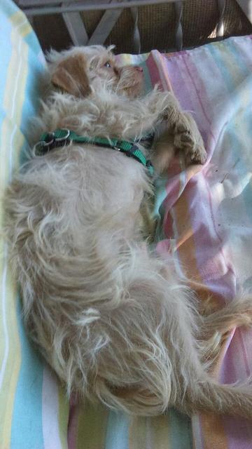 Jack