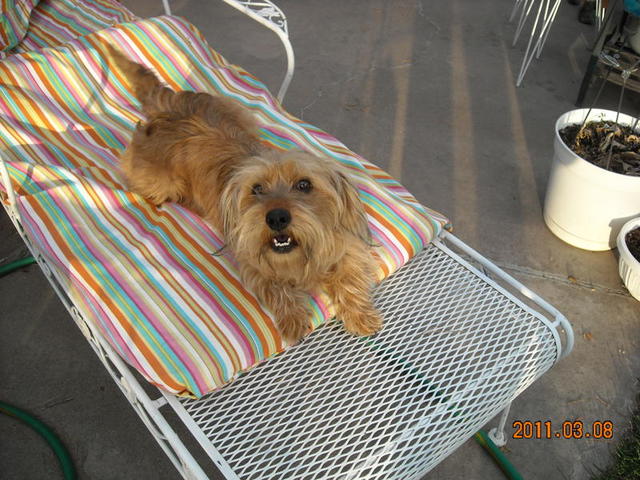 Daisy1