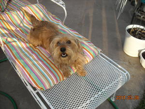 Daisy1