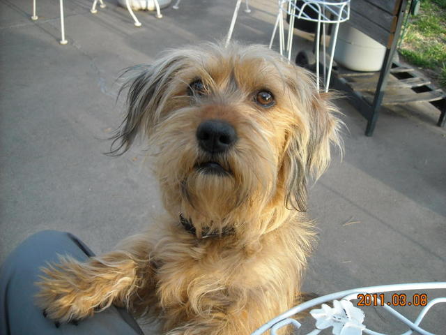 Daisy2