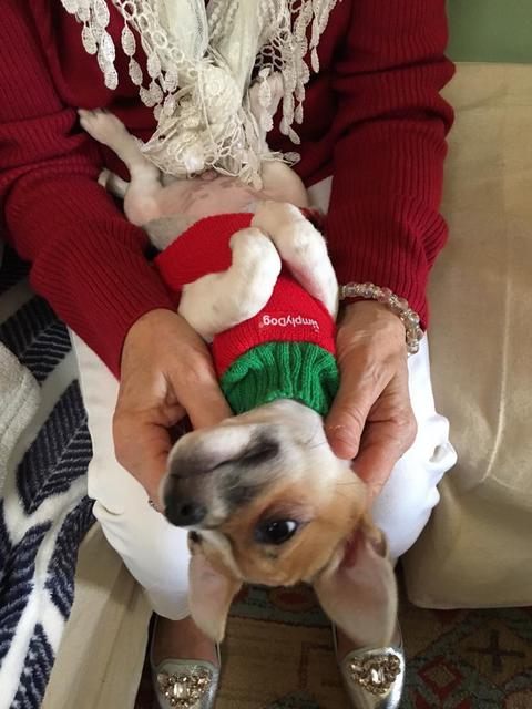 Pumpkin Upside Down XMas