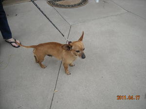 DSCN0428 Casper