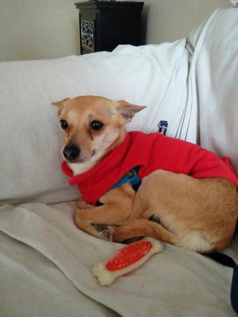 Oscar