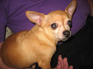 Charlie IMG_1747