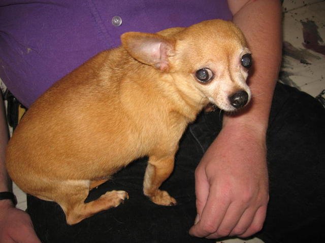 Charlie IMG_1748