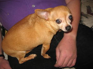 Charlie IMG_1748