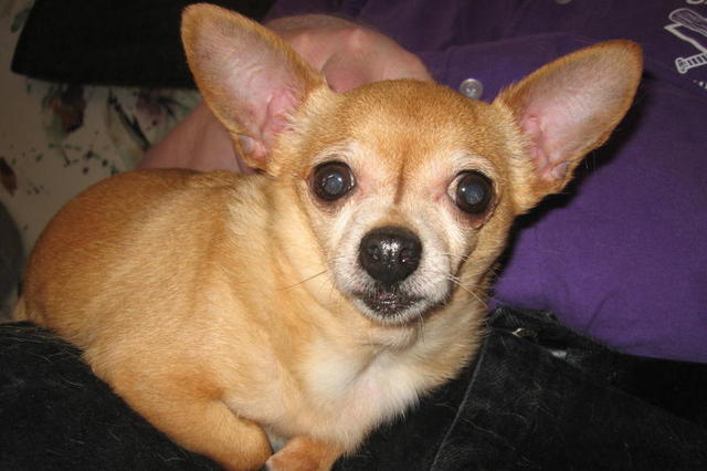 Charlie IMG_1751