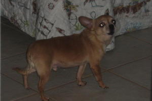 Charlie IMG_1752