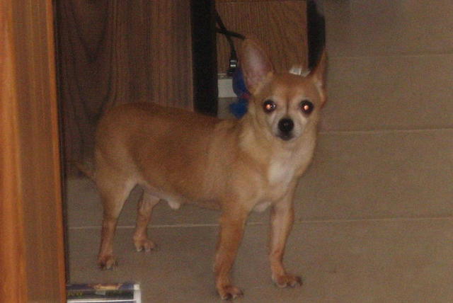 Charlie IMG_1753