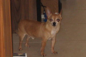 Charlie IMG_1753