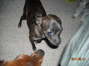 Missy DSCN0451