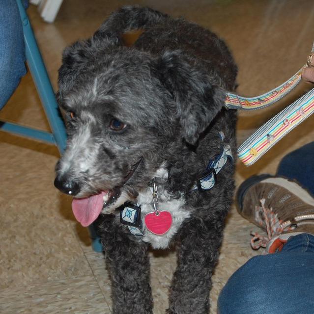 toby