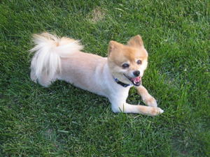 IMG_0996 Nino After