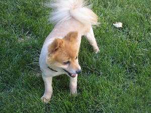 IMG_0997 Nino After