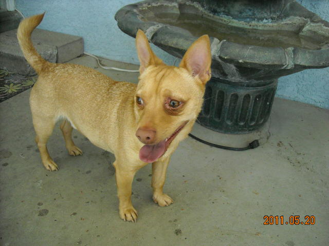 Cosgo2