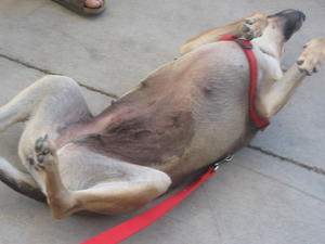 Terra pics 015