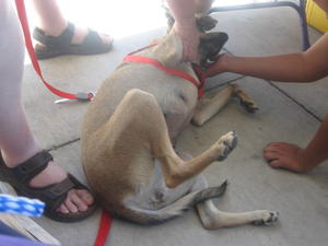 Terra pics 018