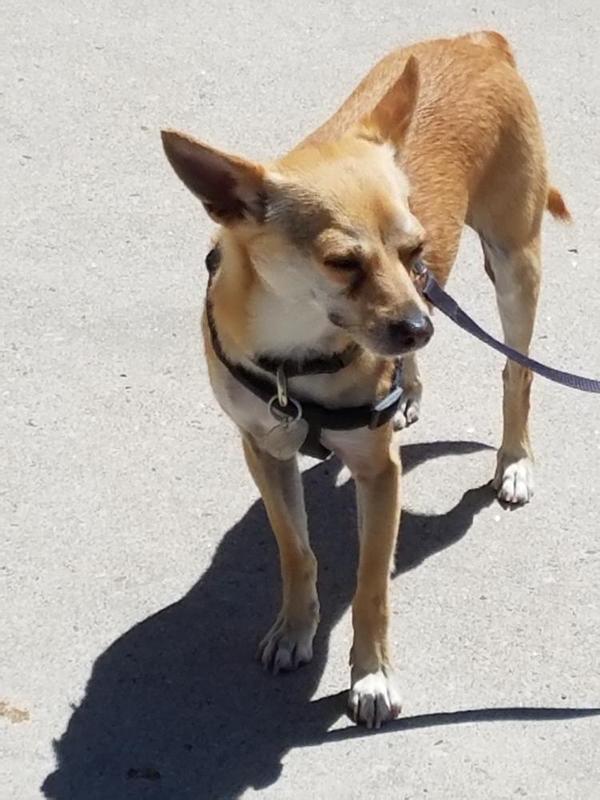 Oscar
