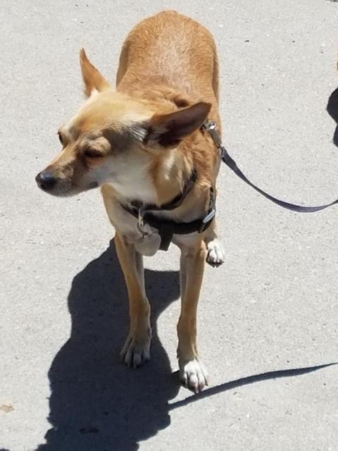 Oscar