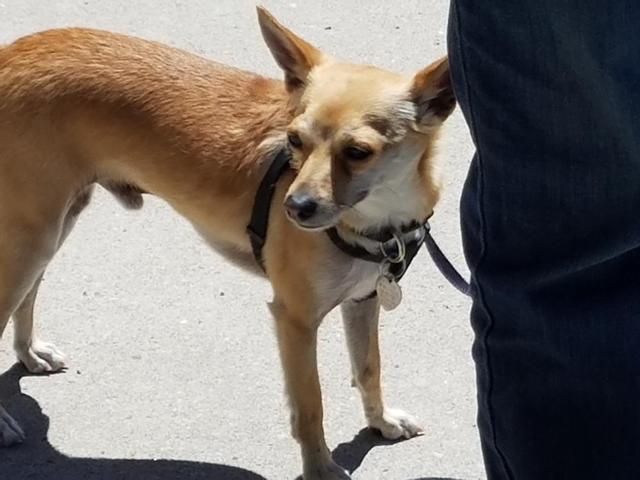Oscar