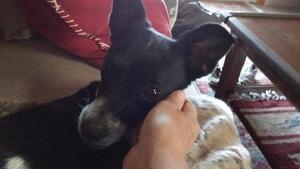 Touching Gracie