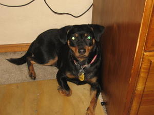 Frieda 002