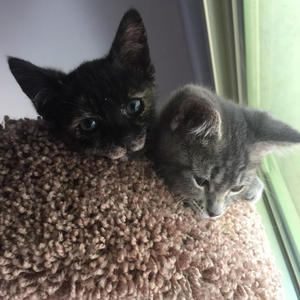 Tris and Zeke