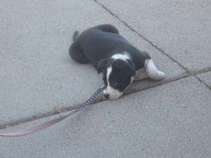 Rylee 006