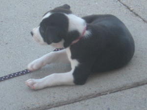 Rylee 011