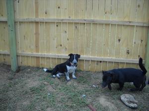 Diane and Moonie