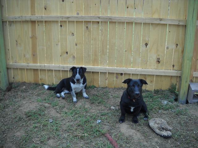 Diane and Moonie2