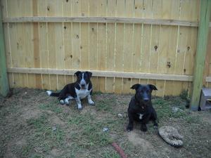 Diane and Moonie2