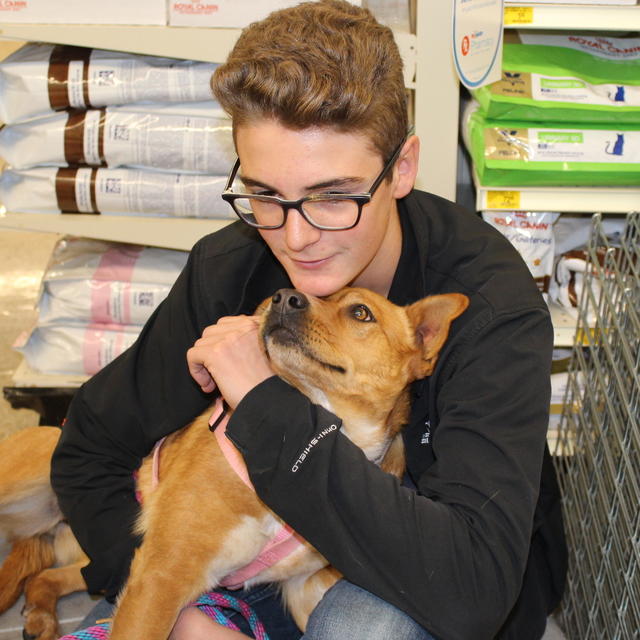 Skye and Volunteer