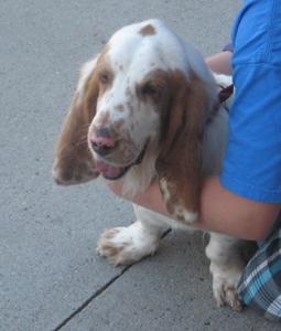 Duke 019