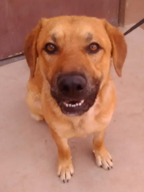 Tex