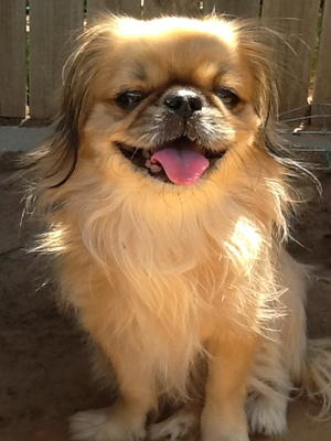 Jenny