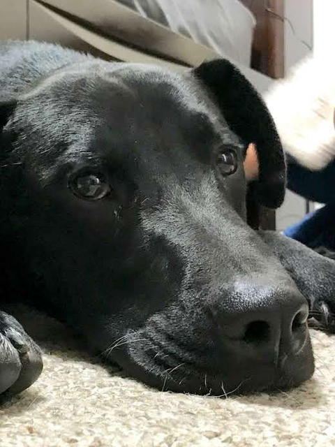 Tucker