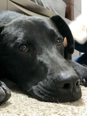 Tucker