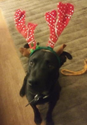 Tucker