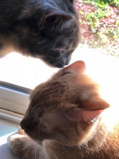 Twyla and Ted