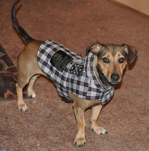 tillie2