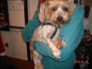 Spotlight - Adopted!