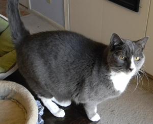 PounceMarch2012_1